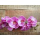 Ramo di Orchidea Artificiale EUROPALMS, Fiori Lilla, 100cm