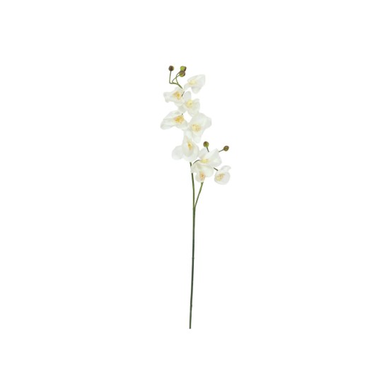 Ramo di Orchidea Artificiale EUROPALMS, Crema-Bianco, 100cm - Decorazione di Qualità