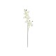 Ramo di Orchidea Artificiale EUROPALMS, Crema-Bianco, 100cm - Decorazione di Qualità