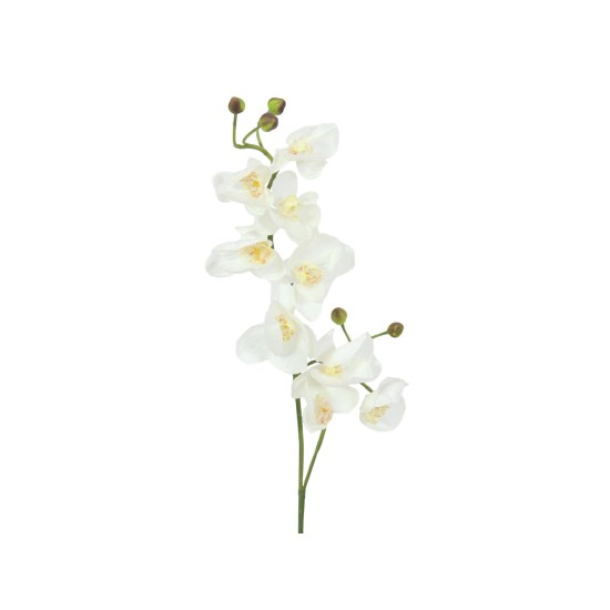 Ramo di Orchidea Artificiale EUROPALMS, Crema-Bianco, 100cm - Decorazione di Qualità