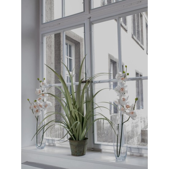 Ramo di Orchidea Artificiale EUROPALMS, Crema-Bianco, 100cm - Decorazione di Qualità
