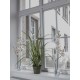 Ramo di Orchidea Artificiale EUROPALMS, Crema-Bianco, 100cm - Decorazione di Qualità