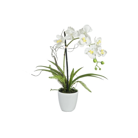 EUROPALMS Composizione Orchidee Artificiali in Vaso Decorativo - Alta Qualità