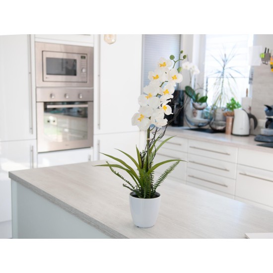 EUROPALMS Composizione Orchidee Artificiali in Vaso Decorativo - Alta Qualità