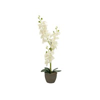 EUROPALMS Orchidea Artificiale Crema 80 cm con Vaso Decorativo Effetto Pietra