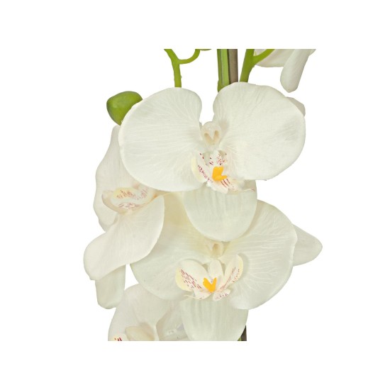 EUROPALMS Orchidea Artificiale Crema 80 cm con Vaso Decorativo Effetto Pietra