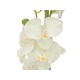 EUROPALMS Orchidea Artificiale Crema 80 cm con Vaso Decorativo Effetto Pietra