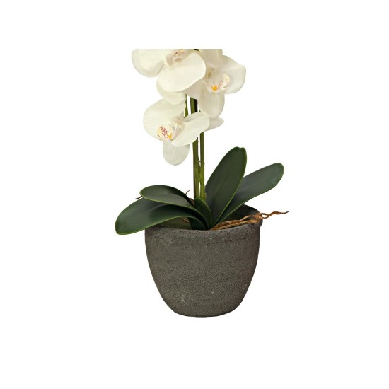 EUROPALMS Orchidea Artificiale Crema 80 cm con Vaso Decorativo Effetto Pietra