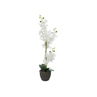 EUROPALMS Orchidea Bianca Artificiale 80 cm con Vaso Decorativo Effetto Pietra