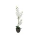EUROPALMS Orchidea Bianca Artificiale 80 cm con Vaso Decorativo Effetto Pietra