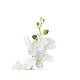 EUROPALMS Orchidea Bianca Artificiale 80 cm con Vaso Decorativo Effetto Pietra