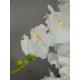 EUROPALMS Orchidea Bianca Artificiale 80 cm con Vaso Decorativo Effetto Pietra