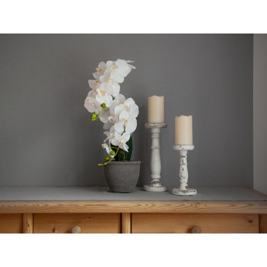 EUROPALMS Orchidea Bianca Artificiale 80 cm con Vaso Decorativo Effetto Pietra