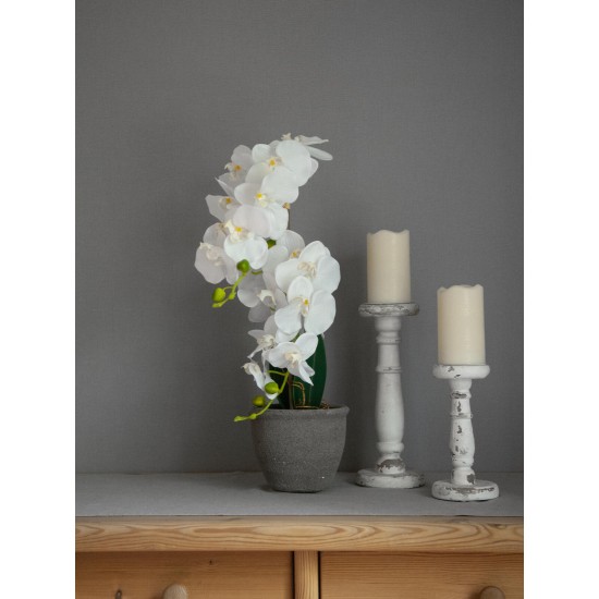 EUROPALMS Orchidea Bianca Artificiale 80 cm con Vaso Decorativo Effetto Pietra