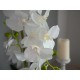 EUROPALMS Orchidea Bianca Artificiale 80 cm con Vaso Decorativo Effetto Pietra