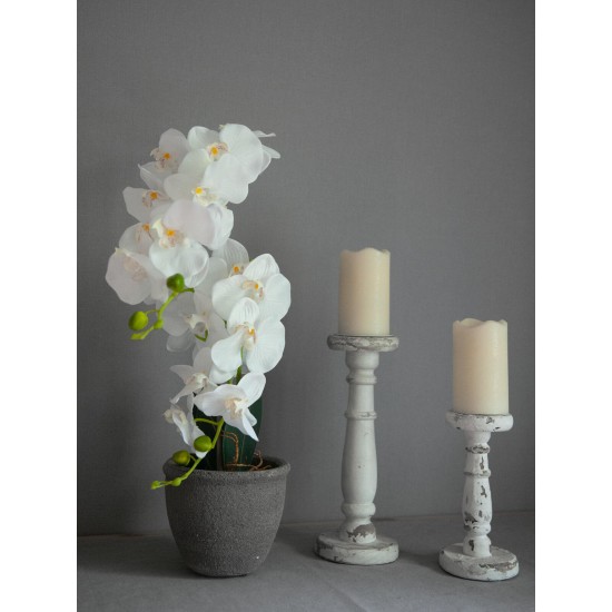EUROPALMS Orchidea Bianca Artificiale 80 cm con Vaso Decorativo Effetto Pietra