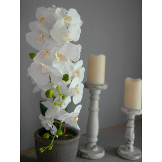 EUROPALMS Orchidea Bianca Artificiale 80 cm con Vaso Decorativo Effetto Pietra