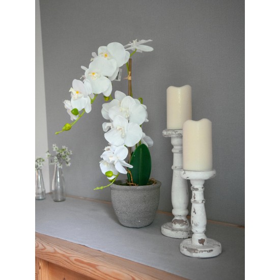 EUROPALMS Orchidea Bianca Artificiale 80 cm con Vaso Decorativo Effetto Pietra