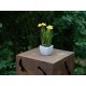 Narciso Artificiale EUROPALMS 23 cm - Pianta Decorativa Primaverile per Interni ed Esterni