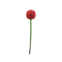Europalms Allium Spray Artificiale Rosso 55cm - Decorazione Floreale Esterna