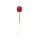 Europalms Allium Spray Artificiale Rosso 55cm - Decorazione Floreale Esterna