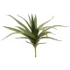 EUROPALMS Aloe Artificiale Verde 50 cm - Pianta Decorativa in Plastica EVA
