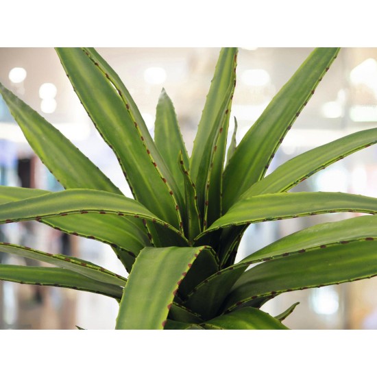 EUROPALMS Aloe Artificiale Verde 50 cm - Pianta Decorativa in Plastica EVA