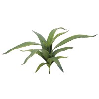 EUROPALMS Aloe artificiale 66 cm - Pianta decorativa in plastica morbida verde