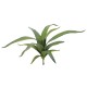 EUROPALMS Aloe artificiale 66 cm - Pianta decorativa in plastica morbida verde