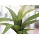 EUROPALMS Aloe artificiale 66 cm - Pianta decorativa in plastica morbida verde
