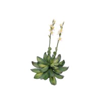 EUROPALMS Cisto Giallo EVA - Pianta Artificiale 32 cm per Decorazioni Eleganti