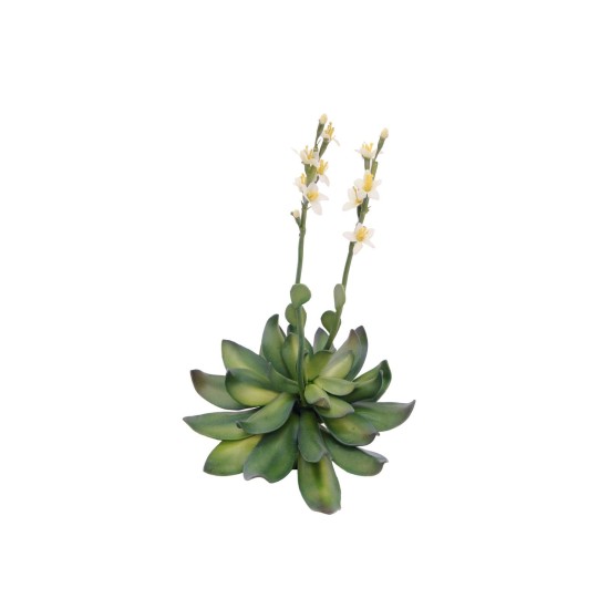 EUROPALMS Cisto Giallo EVA - Pianta Artificiale 32 cm per Decorazioni Eleganti