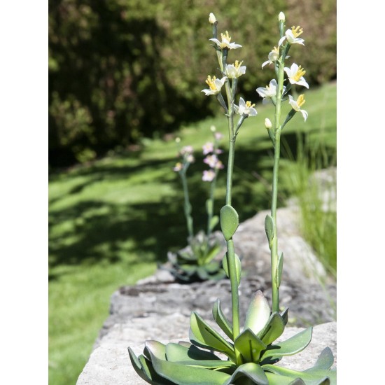 EUROPALMS Cisto Giallo EVA - Pianta Artificiale 32 cm per Decorazioni Eleganti