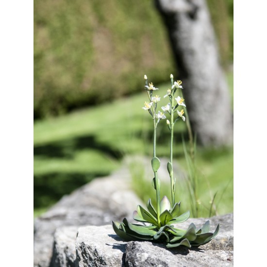 EUROPALMS Cisto Giallo EVA - Pianta Artificiale 32 cm per Decorazioni Eleganti