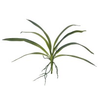 Foglia di Orchidea Artificiale EUROPALMS 45cm - Verde Realistico per Esterni