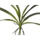 Foglia di Orchidea Artificiale EUROPALMS 45cm - Verde Realistico per Esterni