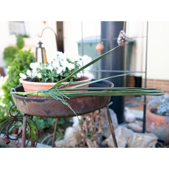 Foglia di Orchidea Artificiale EUROPALMS 45cm - Verde Realistico per Esterni