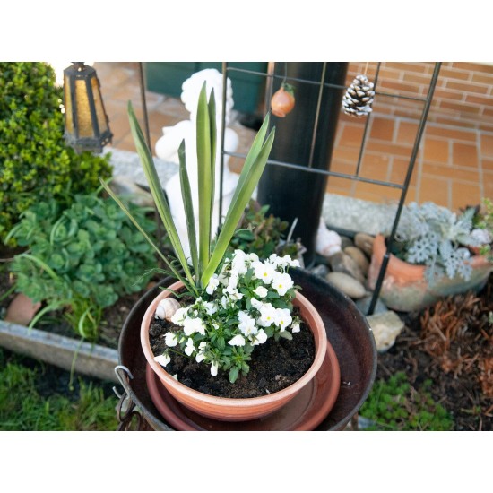 Foglia di Orchidea Artificiale EUROPALMS 45cm - Verde Realistico per Esterni