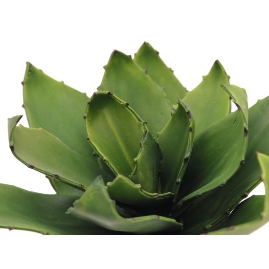 EUROPALMS Agave Artificiale 35 cm, Verde, Foglie Realistiche per Uso Esterno
