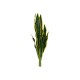 Sansevieria Artificiale EUROPALMS in EVA Verde-Giallo 60 cm per Decorazione Interna ed Esterna