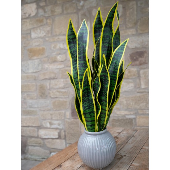 Sansevieria Artificiale EUROPALMS in EVA Verde-Giallo 60 cm per Decorazione Interna ed Esterna
