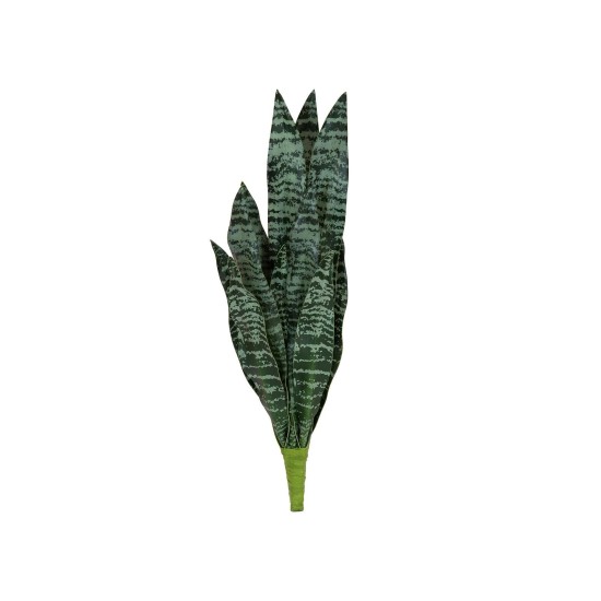 Sansevieria Artificiale EUROPALMS, 60 cm, Foglie Morbide, Verde Scuro