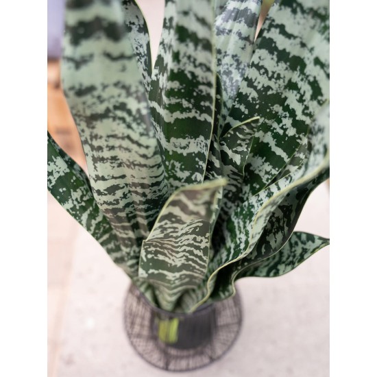 Sansevieria Artificiale EUROPALMS, 60 cm, Foglie Morbide, Verde Scuro
