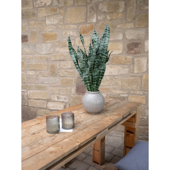Sansevieria Artificiale EUROPALMS, 60 cm, Foglie Morbide, Verde Scuro