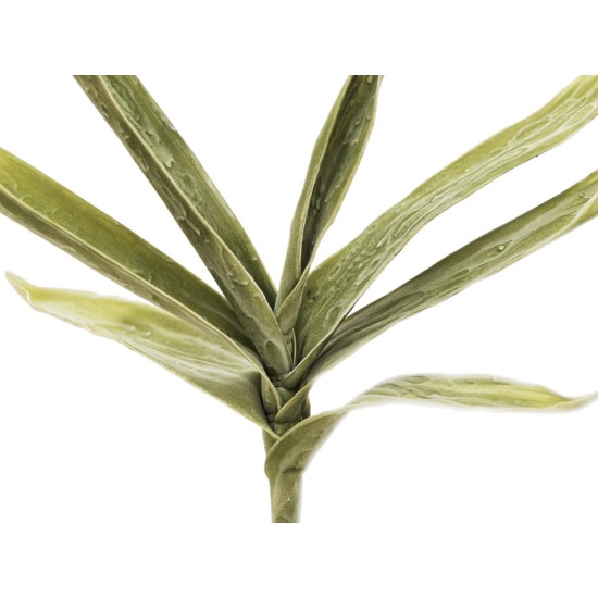 Ramo di Yucca Artificiale EUROPALMS con Foglie Verdi Realistiche, Adatto per Esterni