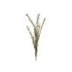 Ramo di Rosmarino Artificiale EUROPALMS in Plastica EVA, Verde Realistico, 120 cm