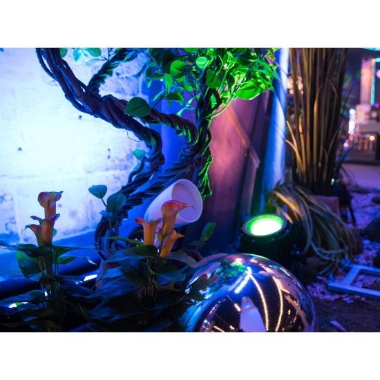 Pianta Artificiale EUROPALMS Calla Mini Giallo Arancione, 43 cm - Decorazione Interni ed Esterni