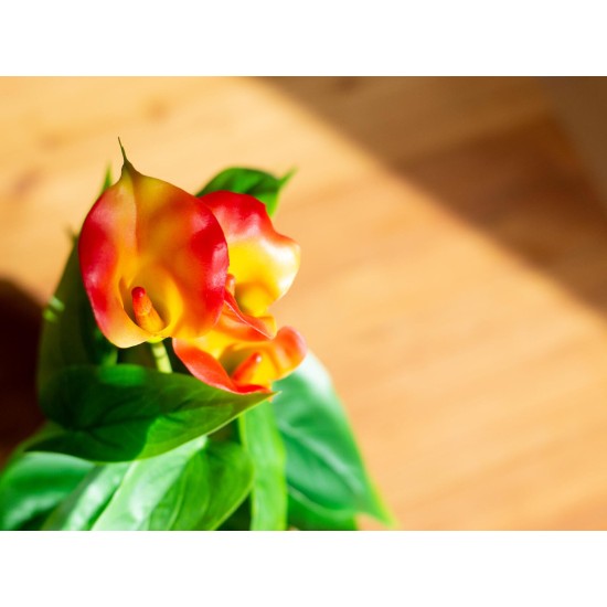 Pianta Artificiale EUROPALMS Calla Mini Giallo Arancione, 43 cm - Decorazione Interni ed Esterni