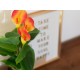 Pianta Artificiale EUROPALMS Calla Mini Giallo Arancione, 43 cm - Decorazione Interni ed Esterni