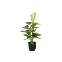 EUROPALMS Calla Mini Artificiale Bianca 43 cm - Pianta da Interno di Alta Qualità